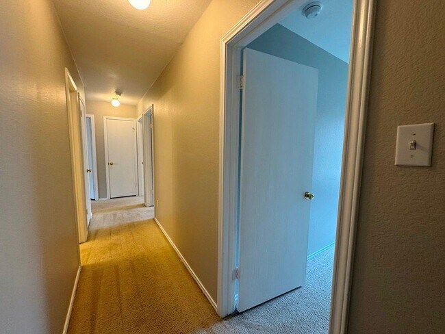 Building Photo - 126 Salado Dr