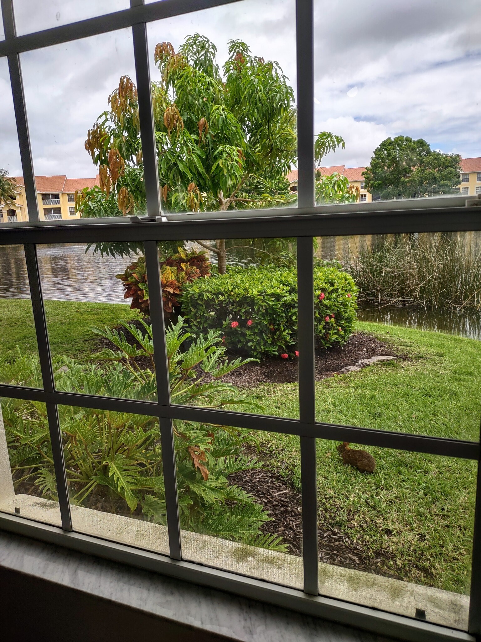 Building Photo - 4620 Saint Croix Ln