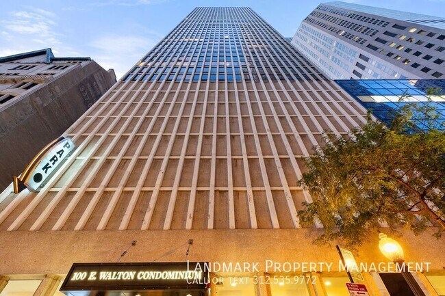 Building Photo - 100 E Walton St