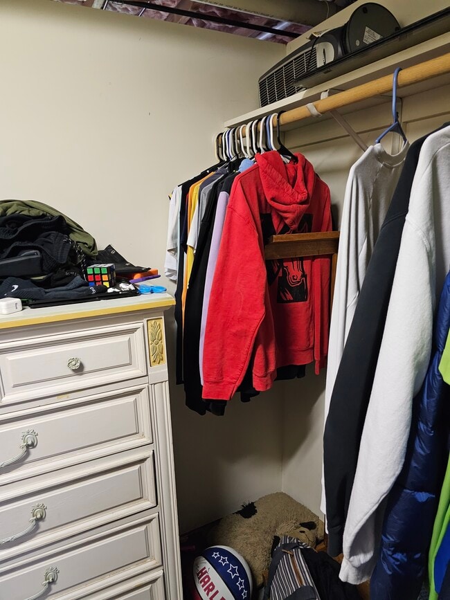 1 of 2 closets in basement, will be empty, dresser included - 130 Little River Dr