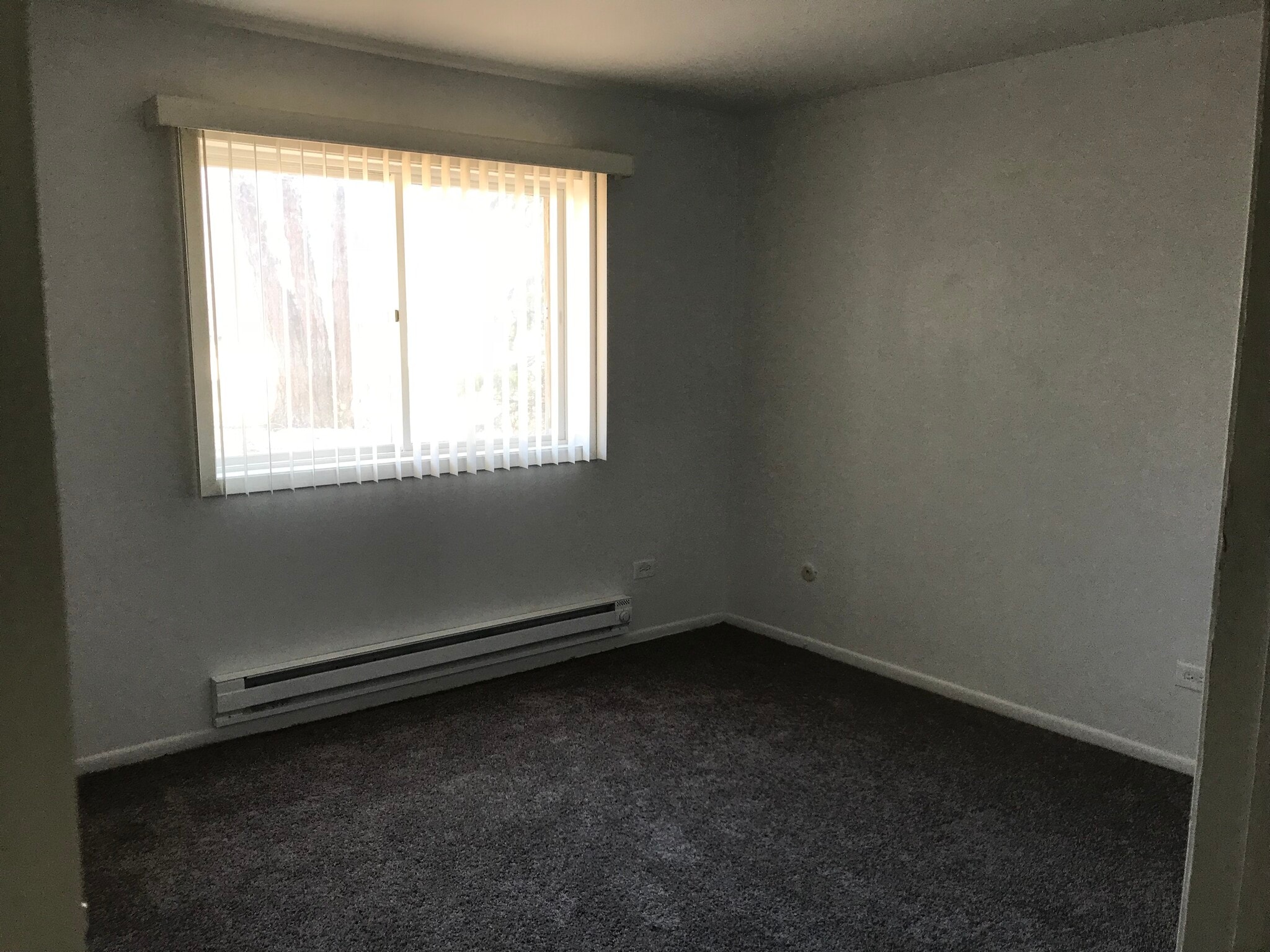 2nd Bedroom - 686 Daisy Ln