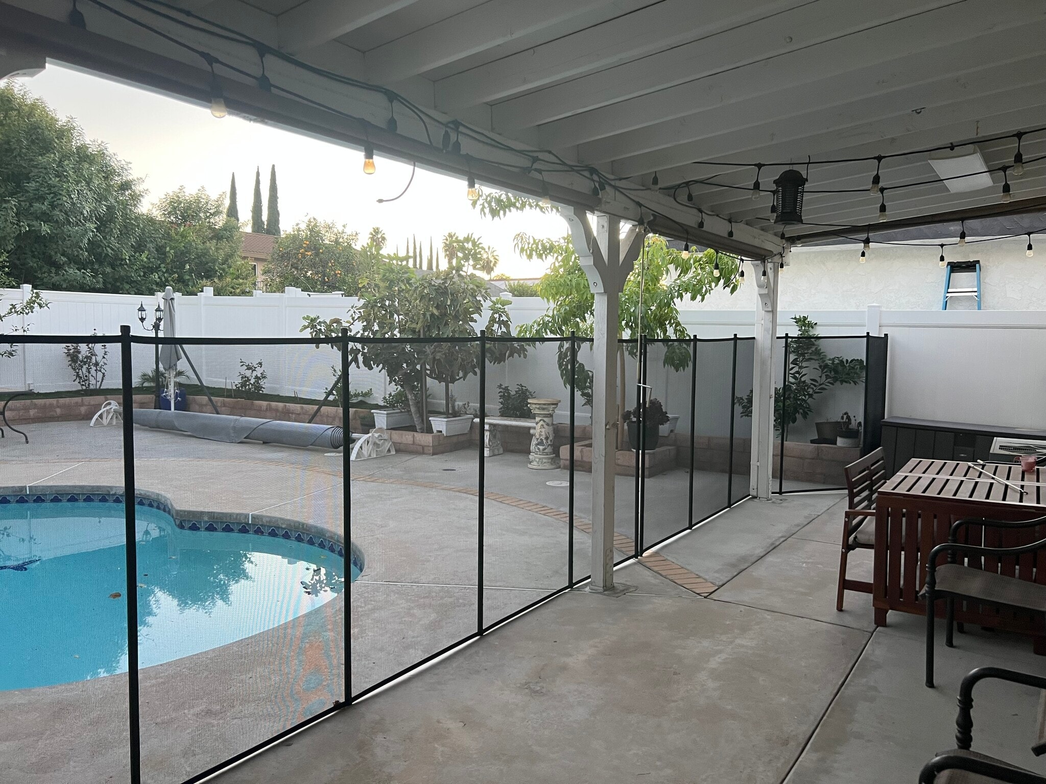 Pool w/ Fence - image 2 - 19926 Cantara St