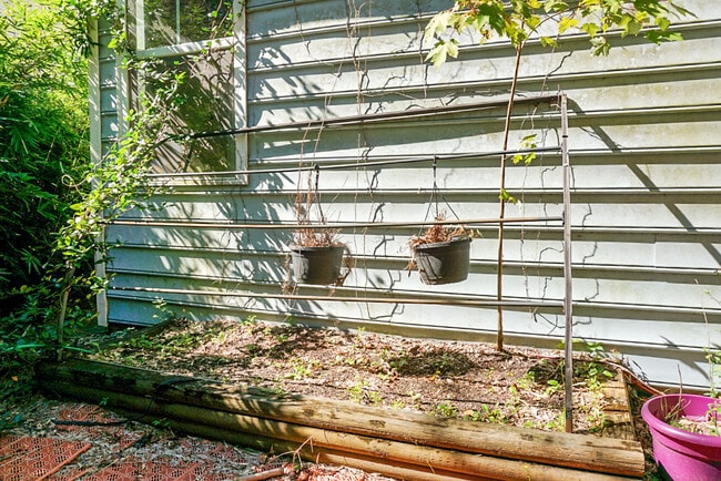 Building Photo - 1519 Thoroughbred Blvd