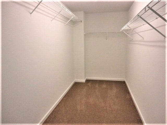 Building Photo - 5715 Oxborough Way