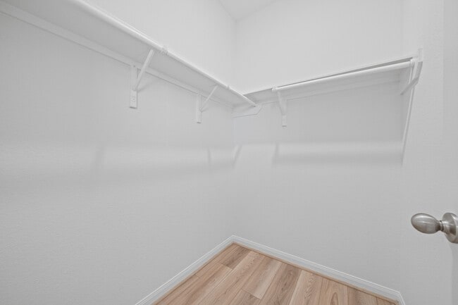 Building Photo - 15719 Autumn Chicory Dr