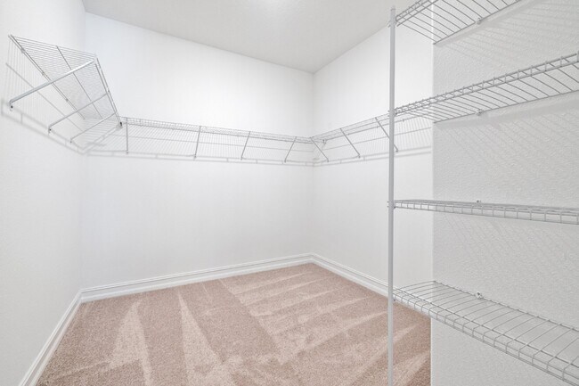 Building Photo - Charming 3 Bed, 2.5 Bath Rental Home in Wesley Chapel - Spacious and Modern!