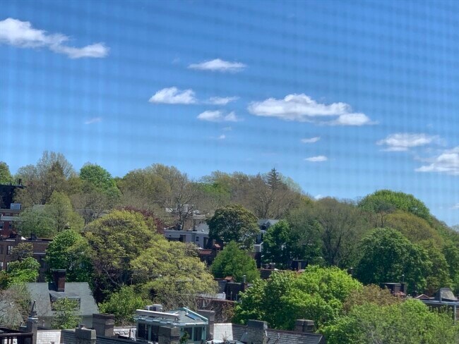 Building Photo - 1731 Beacon St