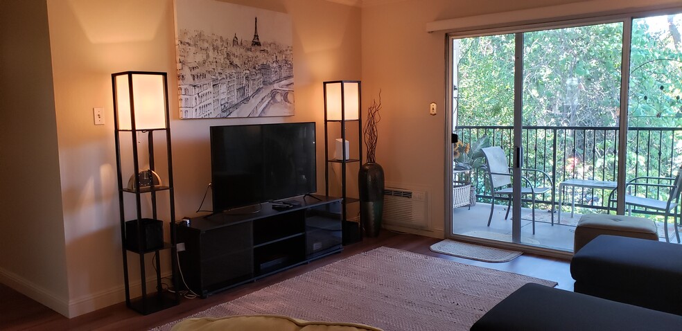 Wall unit, TV, balcony - 1470 Creekside Dr