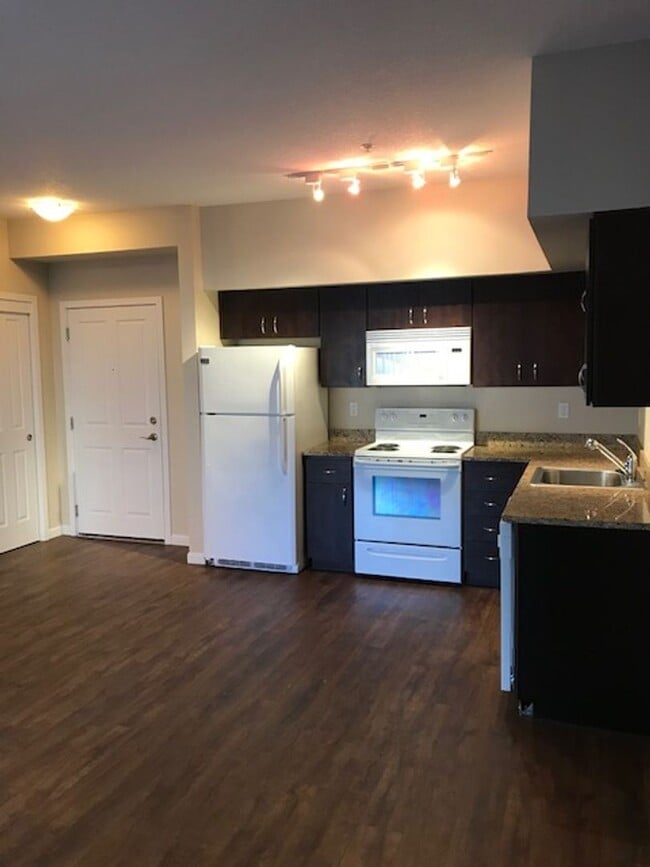 Interior Photo - Cathedral Park