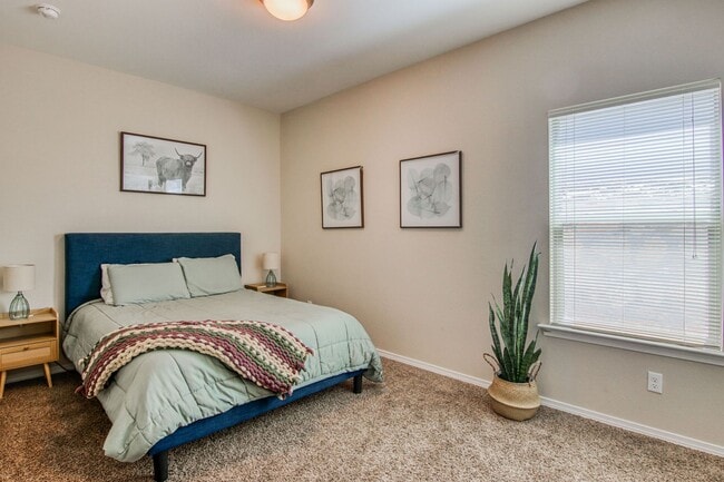 Building Photo - Beautiful Modern & Contemporary House 3 beds-2 baths in 79932