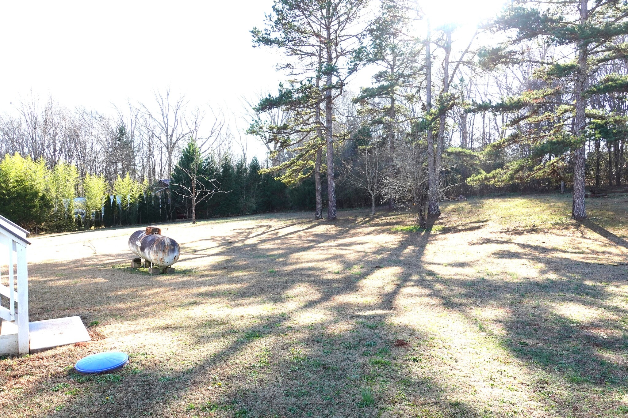 Huge, Level Backyard - 1333 Holliday Dr