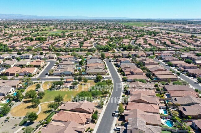 Building Photo - 3943 E Ficus Way