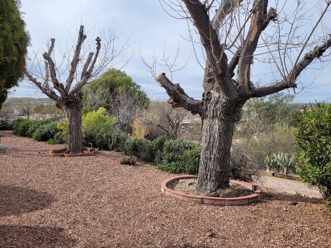 Building Photo - 600 El Recreo Ct