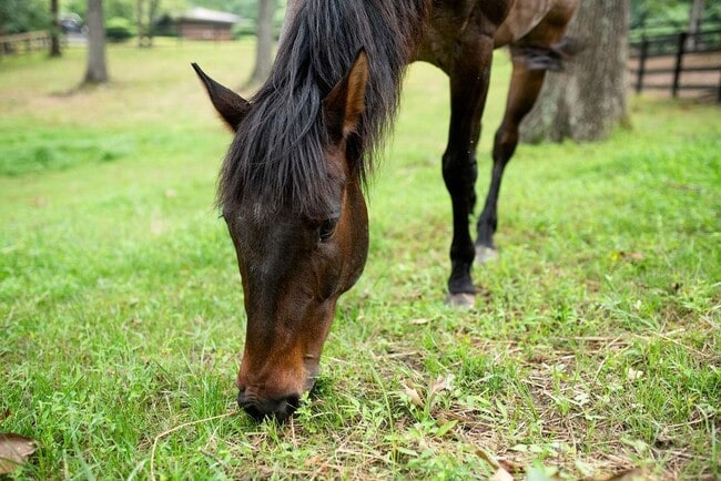 Building Photo - 728 S McCollum Dr