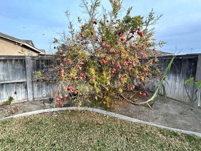 Building Photo - Beautiful two story Home in Easvale