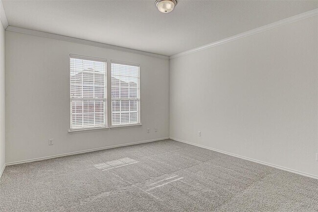 Building Photo - 339 Alamosa Dr