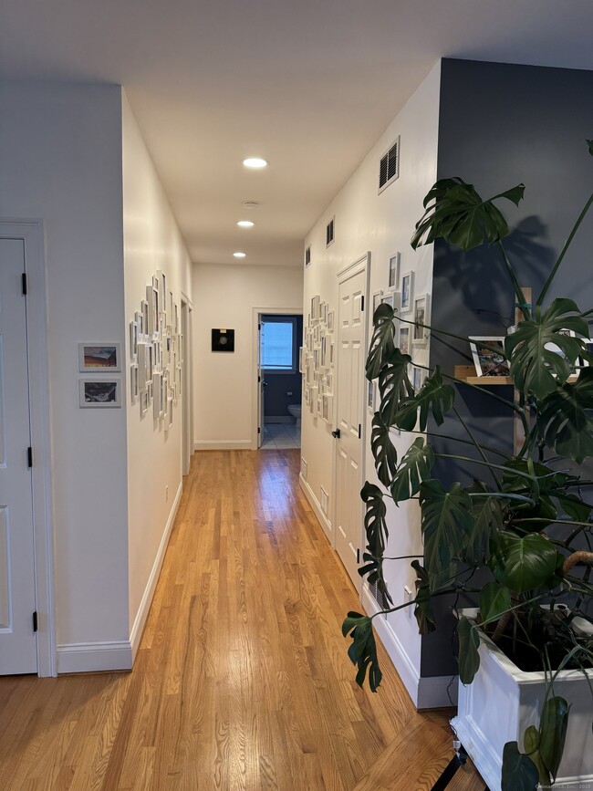 Building Photo - 556 Hill St