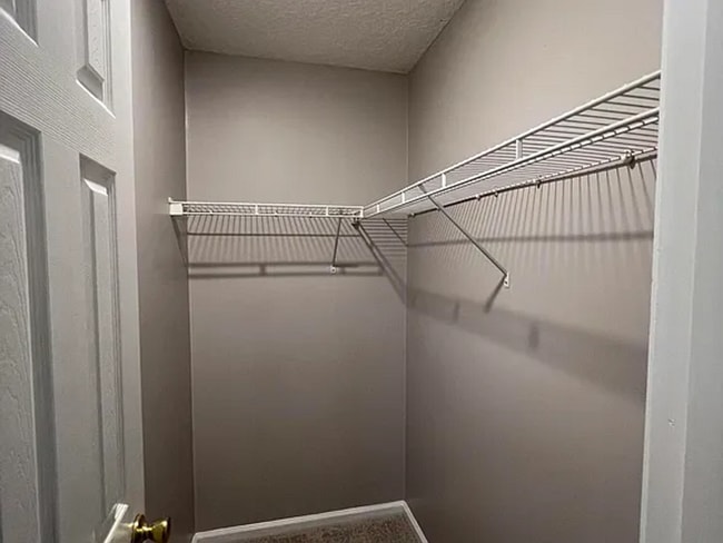 Building Photo - 6 Bedrooms 4 Bathroom 1672 Hammock Grove Lane