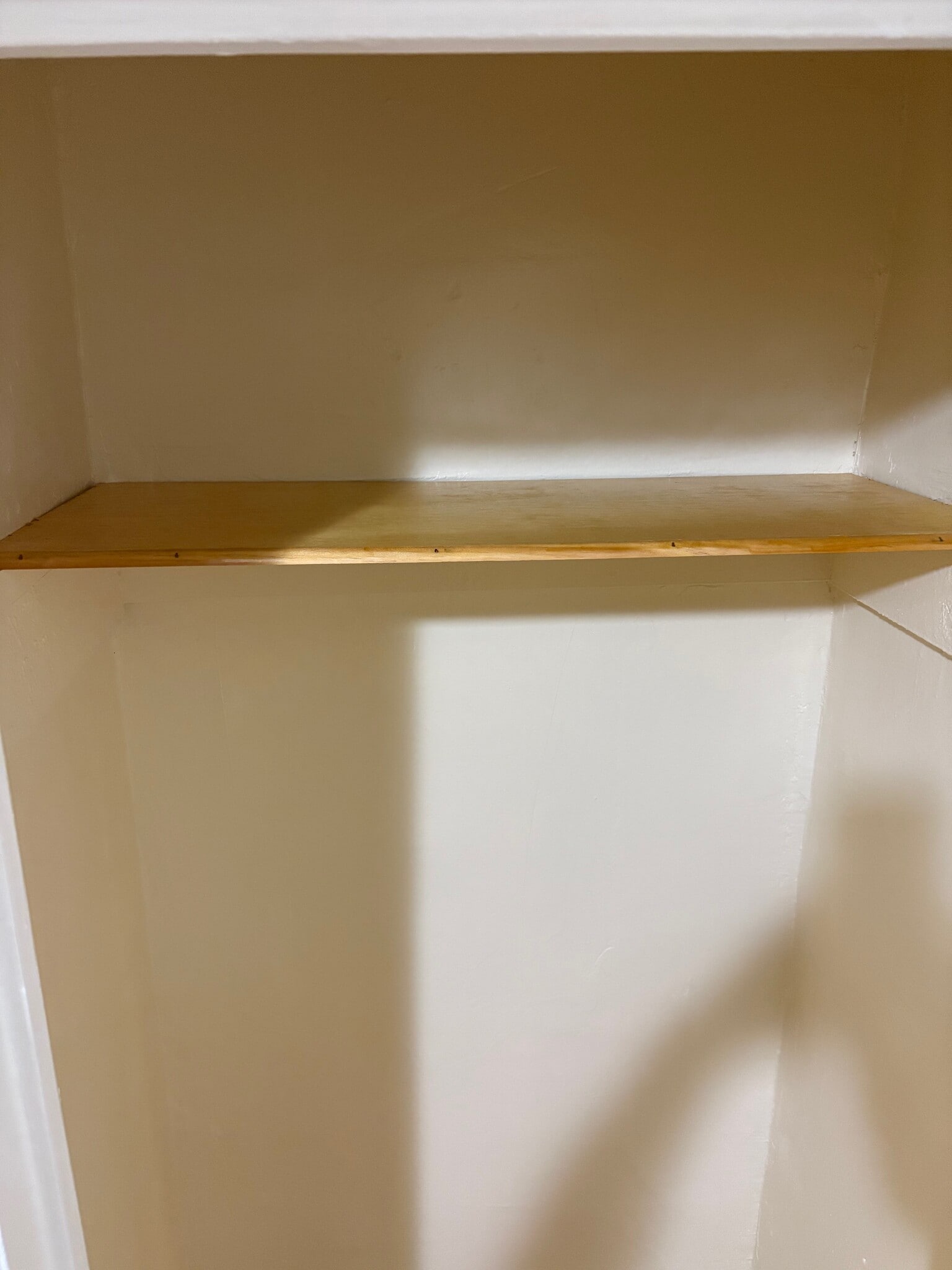 Closet shelve - 54 E Clifford Pl