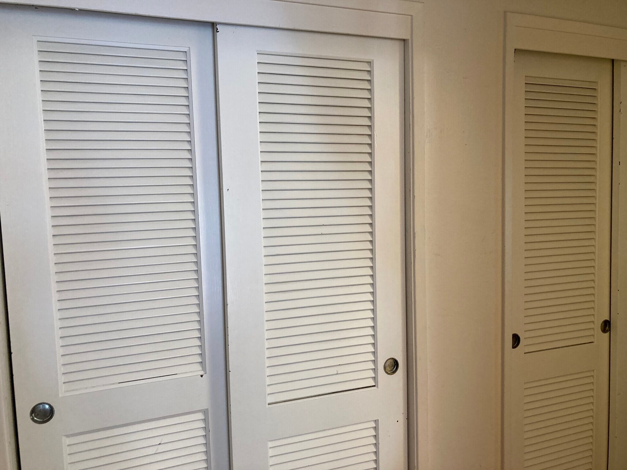 The second closet on this photo also has two doors - 407 Orange St