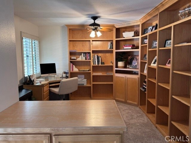 Building Photo - 29347 Canyon Rim Pl