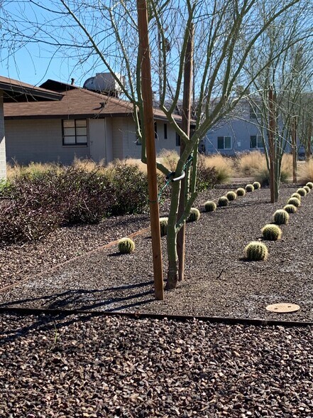 Front Landscaping - 746 W Turney Ave, Apt 2