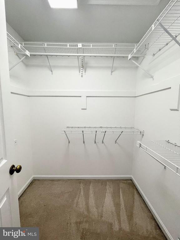 Building Photo - 11812 Great Owl Cir