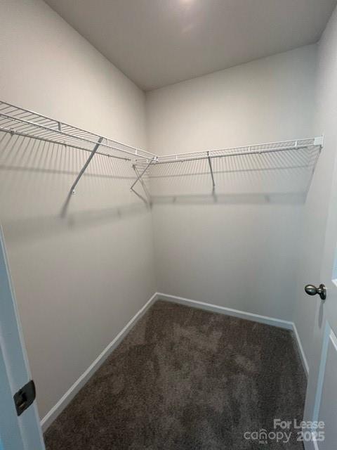 Building Photo - 2118 Allium Dr