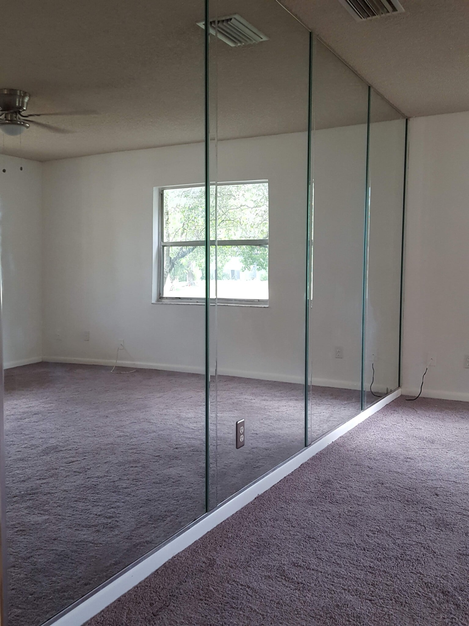 Mirrored Wall Livingroom - 41 Hydrangea Ln