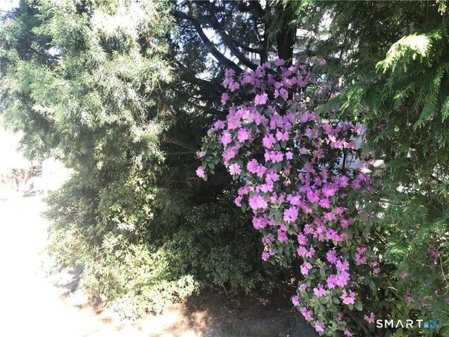 Building Photo - 25 Saugatuck Ave