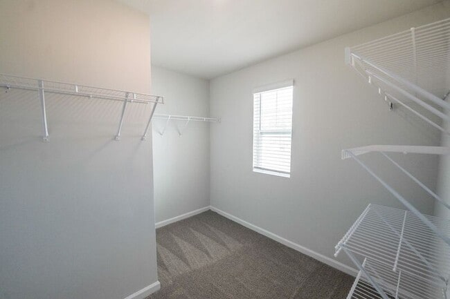 Building Photo - 459 Coconut Dr