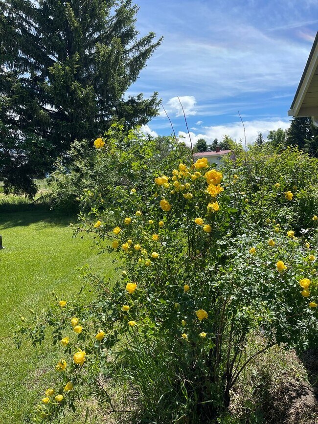 Building Photo - Secluded Cottage with ALL THE VIEWS