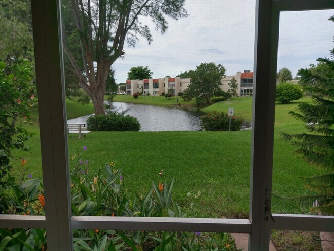 Rear yard view - 829 Camino Rd