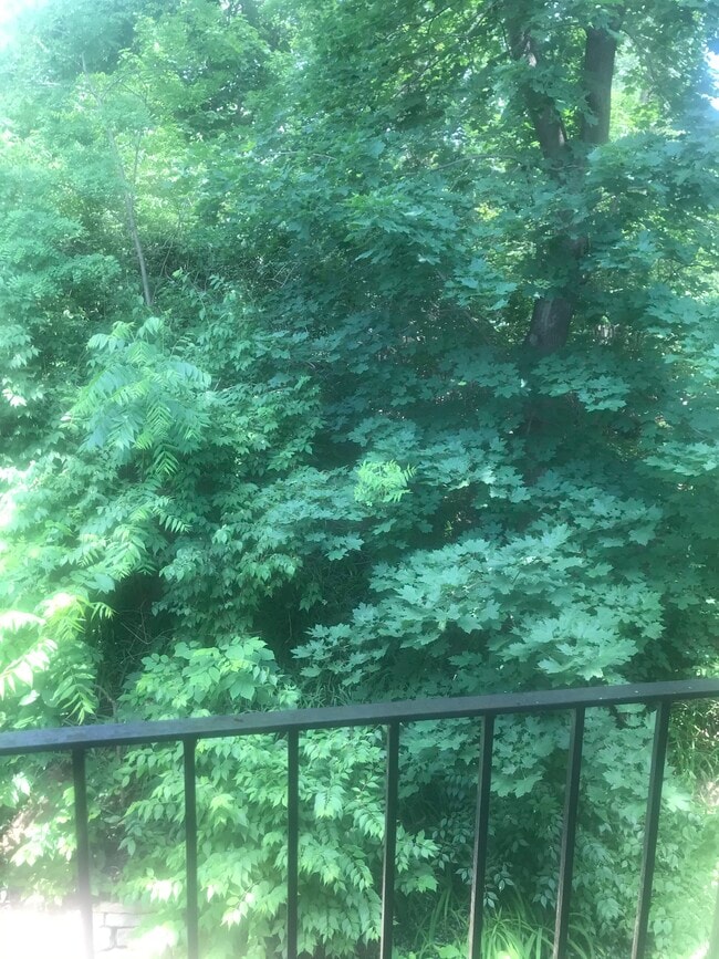 Building Photo - 200 E Algonquin Rd