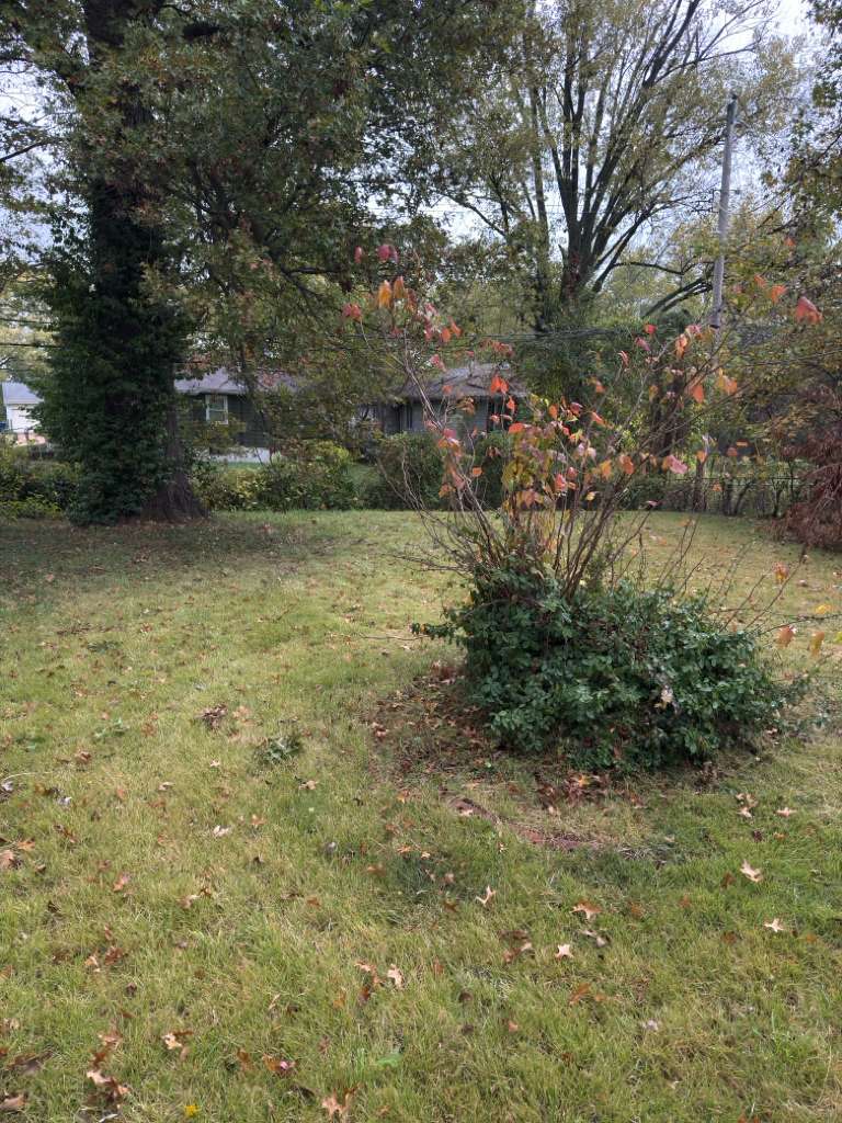 Building Photo - 10104 Ventura Dr