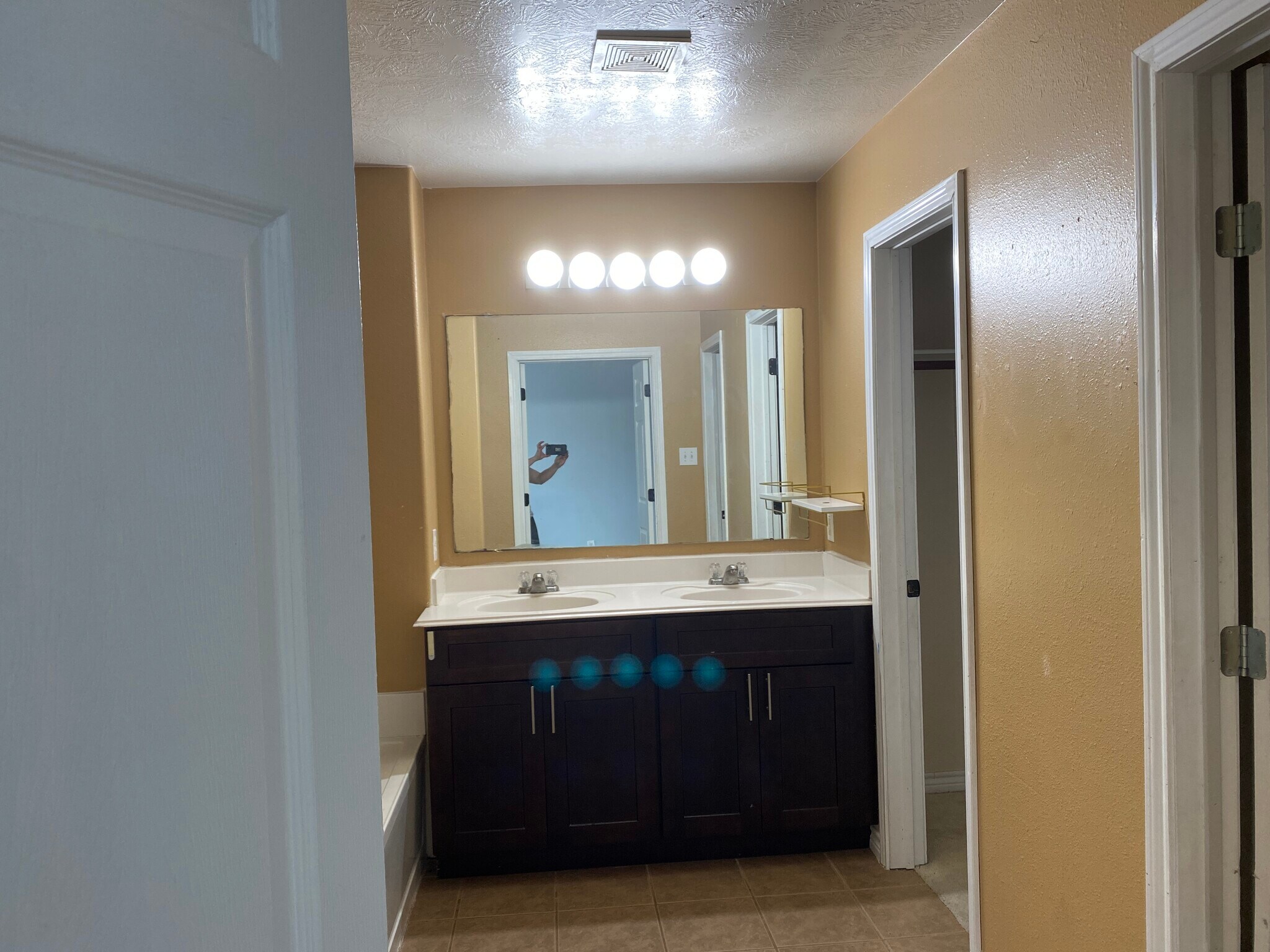 Master bathroom - 9022 Kerry Prairie Ln