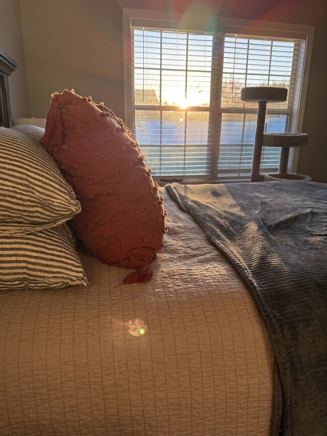 Building Photo - 607 Hollow Crst