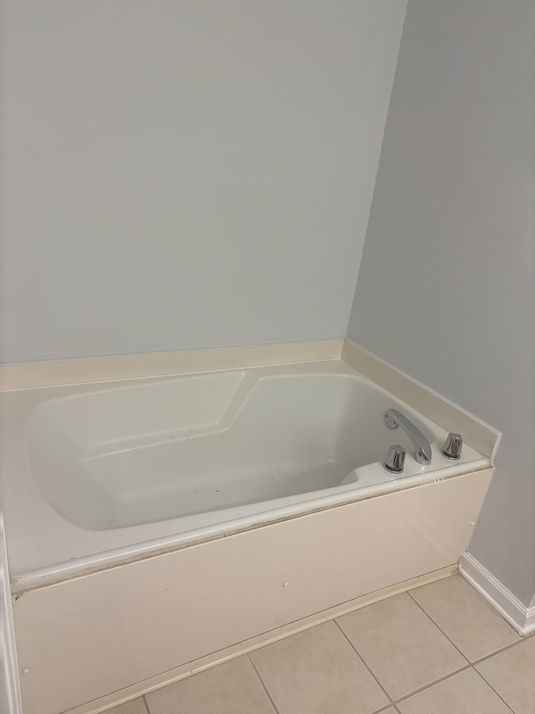 Master Tub - 2454 Laurel Cir NW