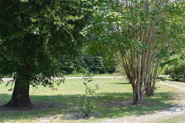 Building Photo - 160 County Rd 6498