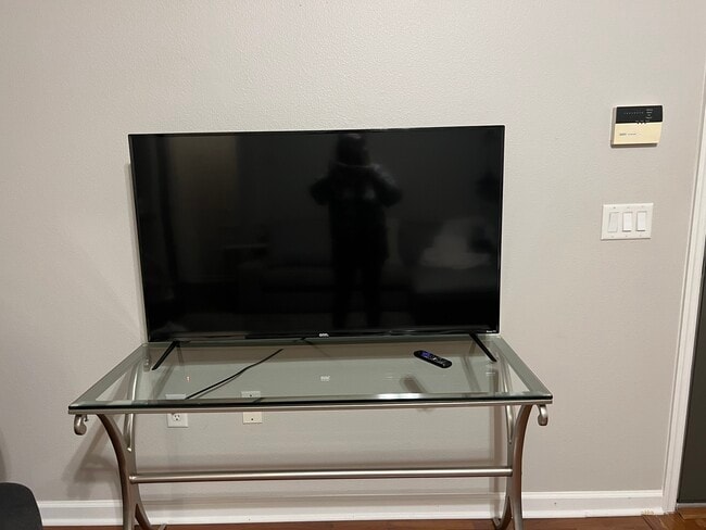 50 Inch TV in living room - 14008 Chicora Crossing Blvd