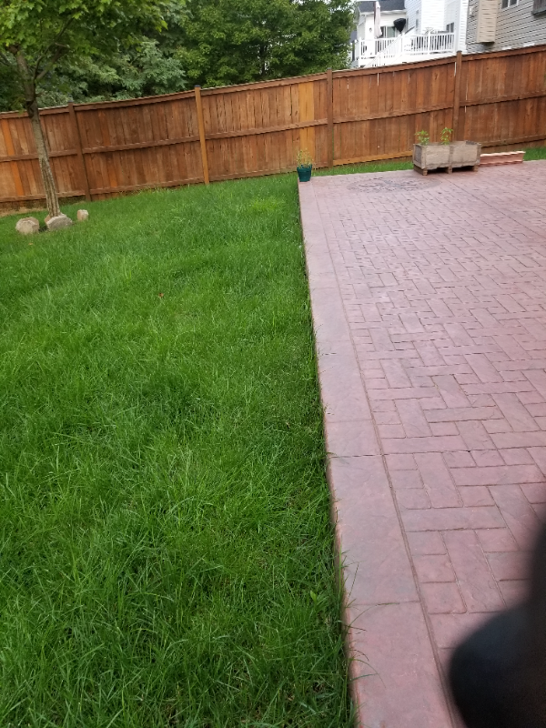 Building Photo - 1524 Santander Dr