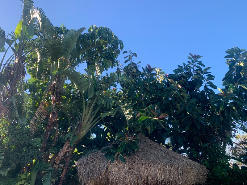 Building Photo - 9125 Sterling Ln