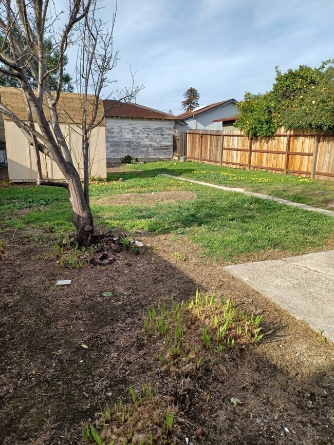 Building Photo - 3129 64th Ave