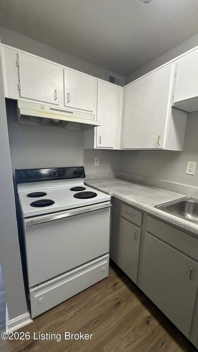Building Photo - 4103 Blue Lick Ct