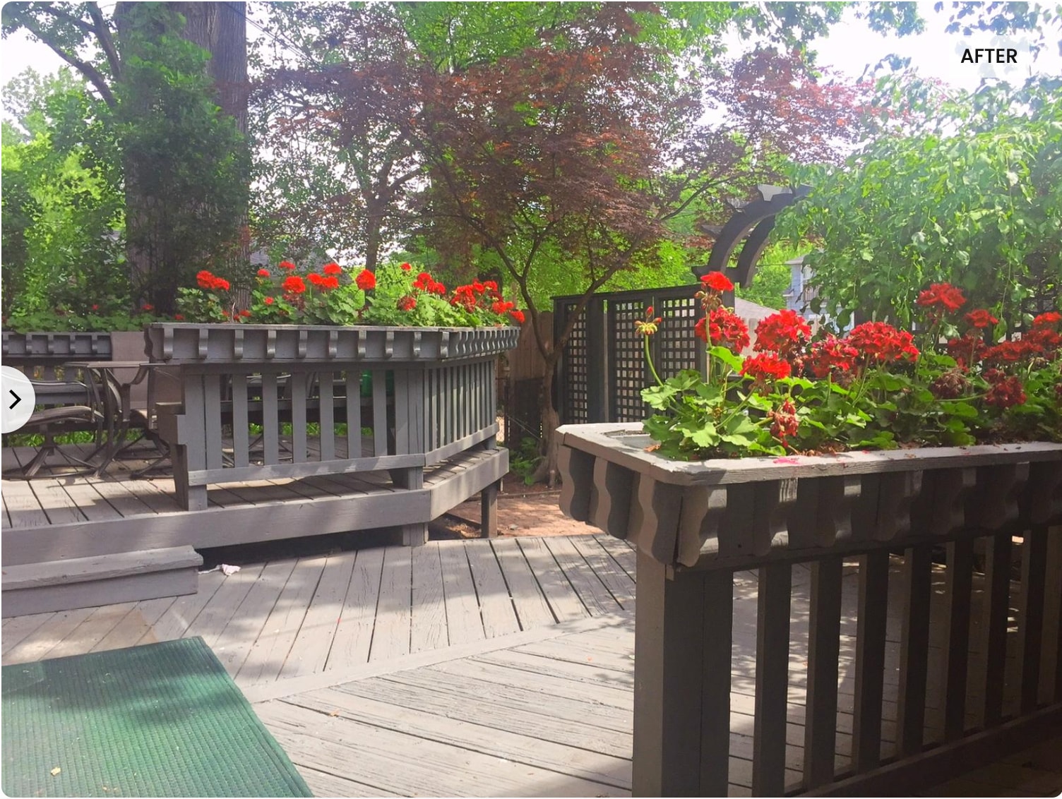 Back Paito - 404 Virginia Ave