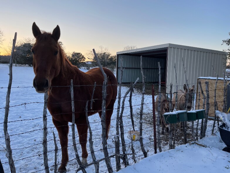 Building Photo - 3656 FM 2657