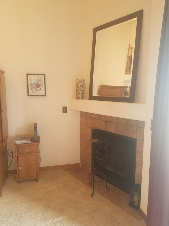 gas fire place in LR - 103 Morningstar Cir
