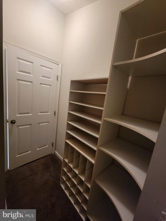 Building Photo - 8702 Castlerock Ct