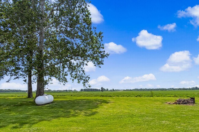 Building Photo - 3 Bedroom, 1 Bathroom Rural Home for Rent – Farmer City, IL-INTERIOR PHOTOS COMING SOON!