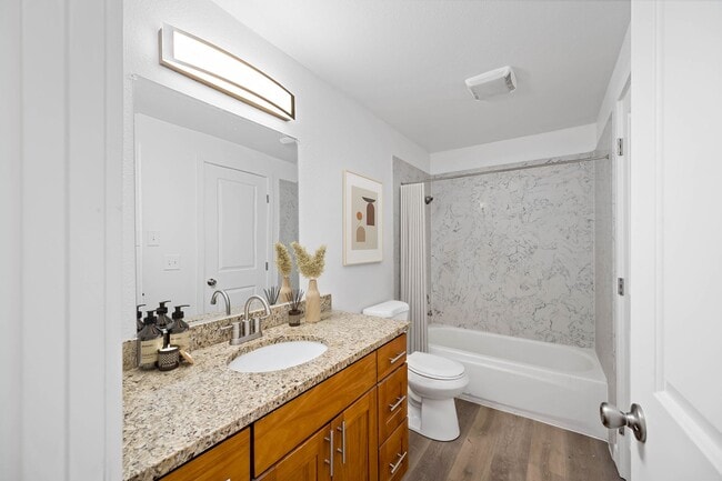 Interior Photo - Mozaic